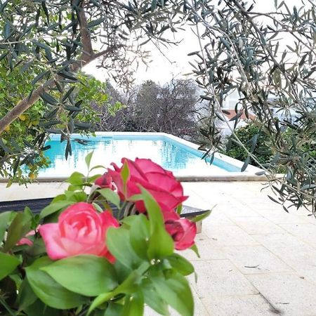 La Casa D'Olhao Villa Quelfes Екстериор снимка